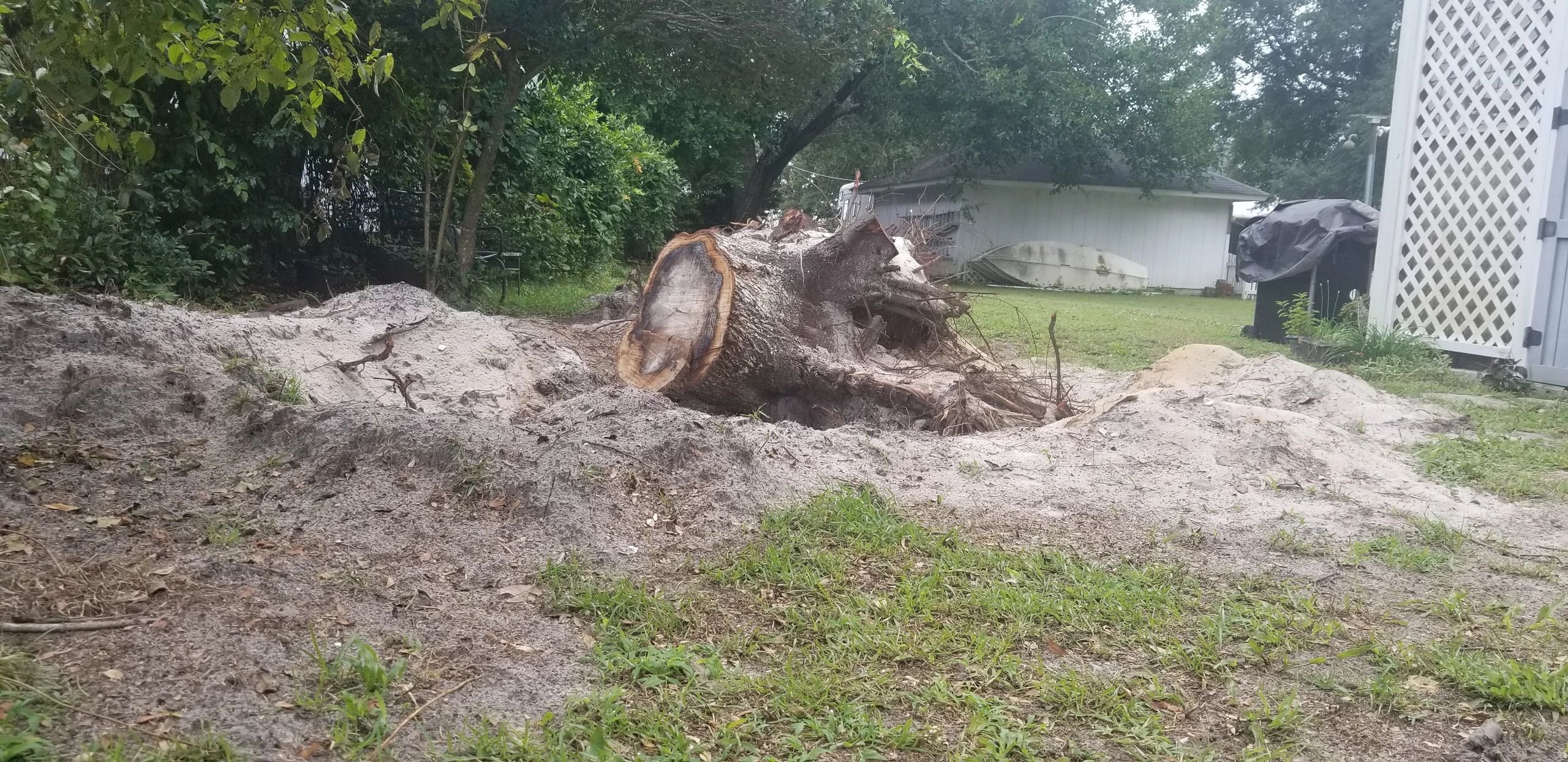 Mini excavator land clearing near waterway