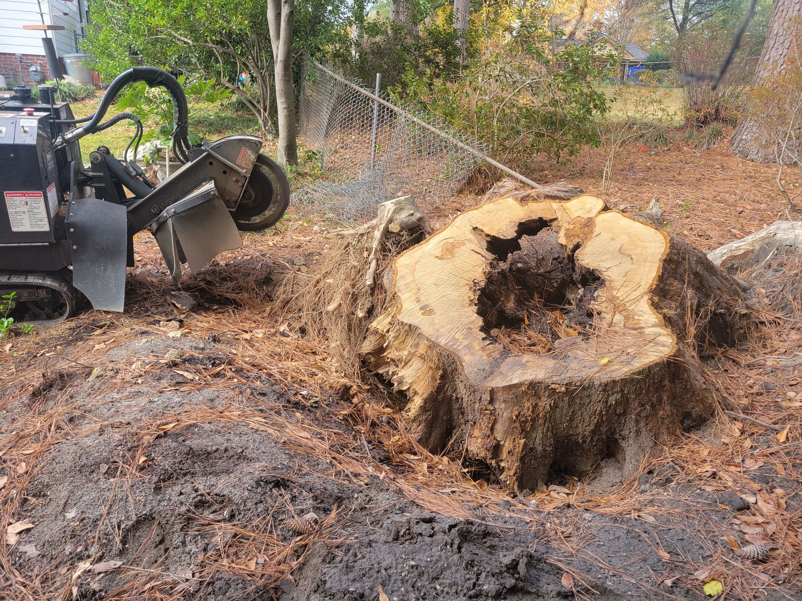 Residential yard stump removal in progress